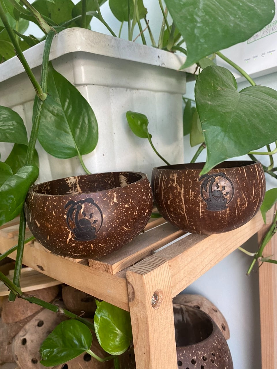 Authentic Coconut Shell Cup, waterproofed, biodegradable, coconut shell