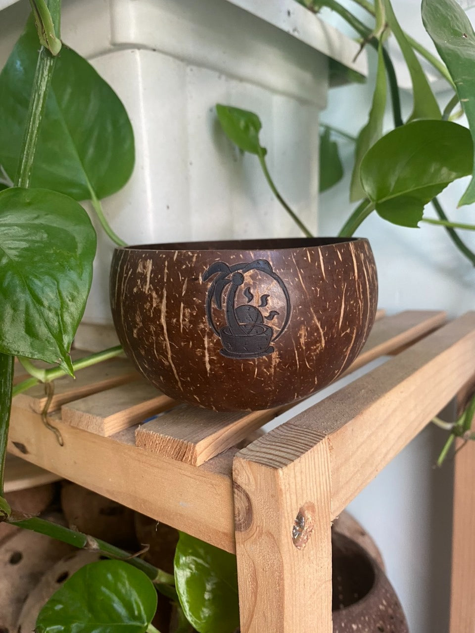 Authentic Coconut Shell Cup, waterproofed, biodegradable, coconut shell